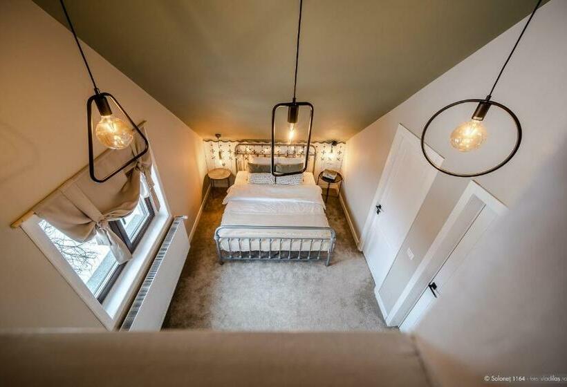 패밀리 룸, Solonetul Nou 1164