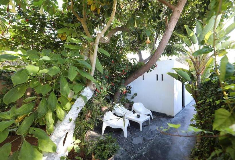 اتاق استاندارد با چشم‌انداز باغ, El Manzar