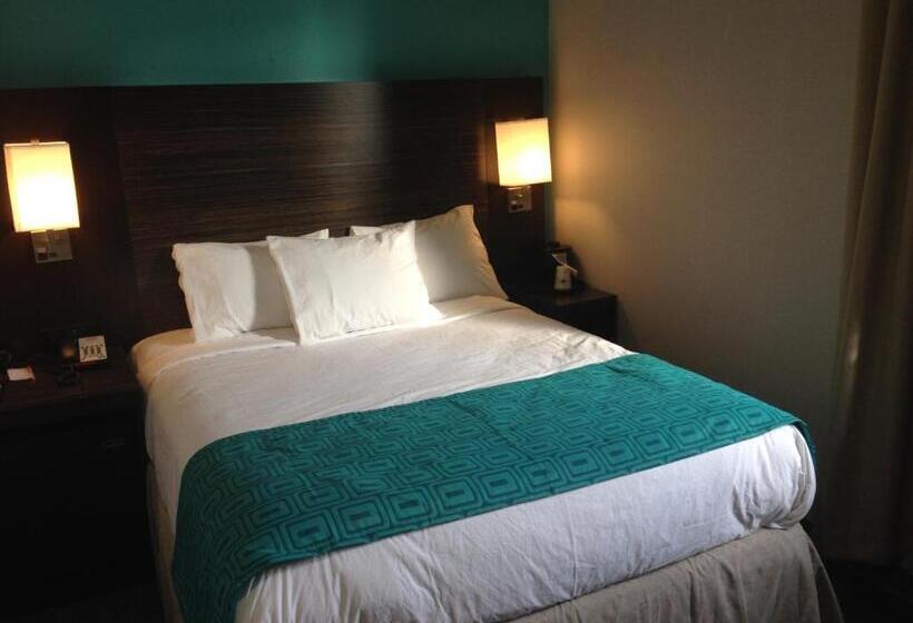 חדר סטנדרט, Rockaway