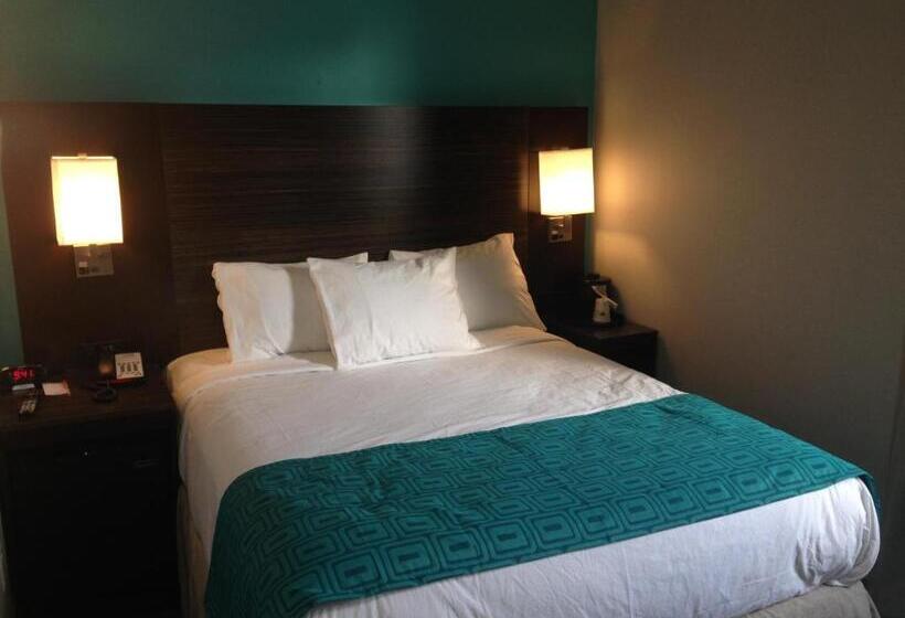 חדר סטנדרט מותאם לאדם עם מוגבלויות, Rockaway