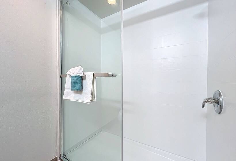 غرفه قياسيه سريرين مزدوجين, Stayable Kissimmee East