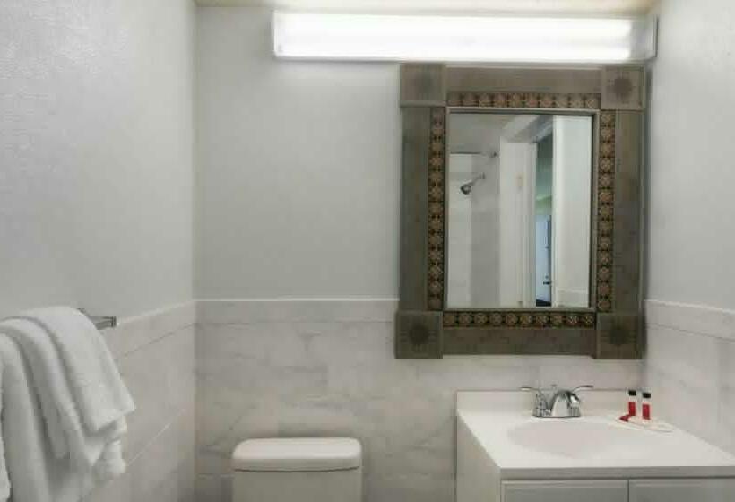 غرفة قياسية سرير كينج لذوى الإحتياجات الخاصة, Stayable Kissimmee East