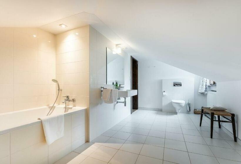 ガーデンビュースタンダードルーム, Zámek Dobřenice