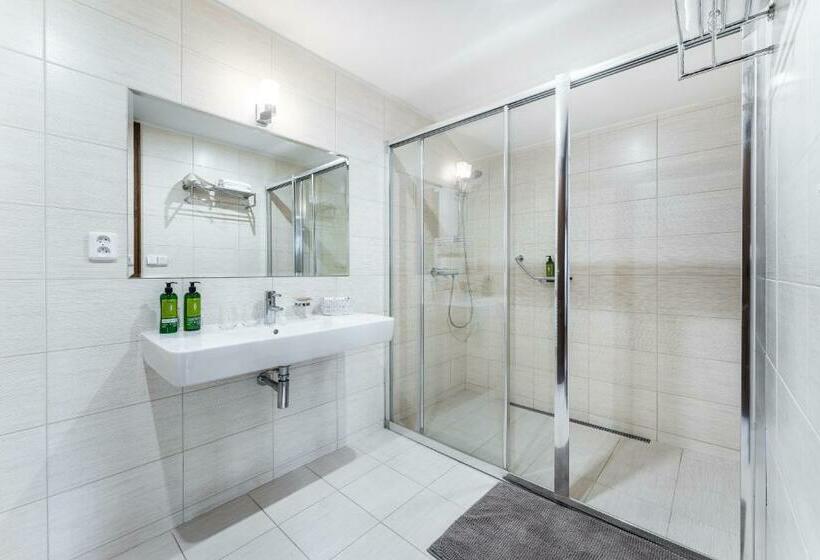 スーペリアトリプルルーム, Zámek Dobřenice