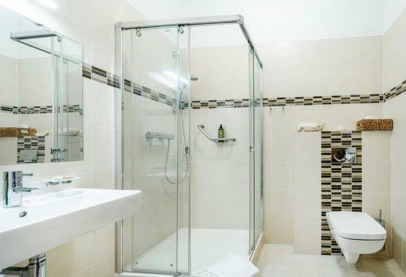 庭の見えるシングルルーム, Zámek Dobřenice