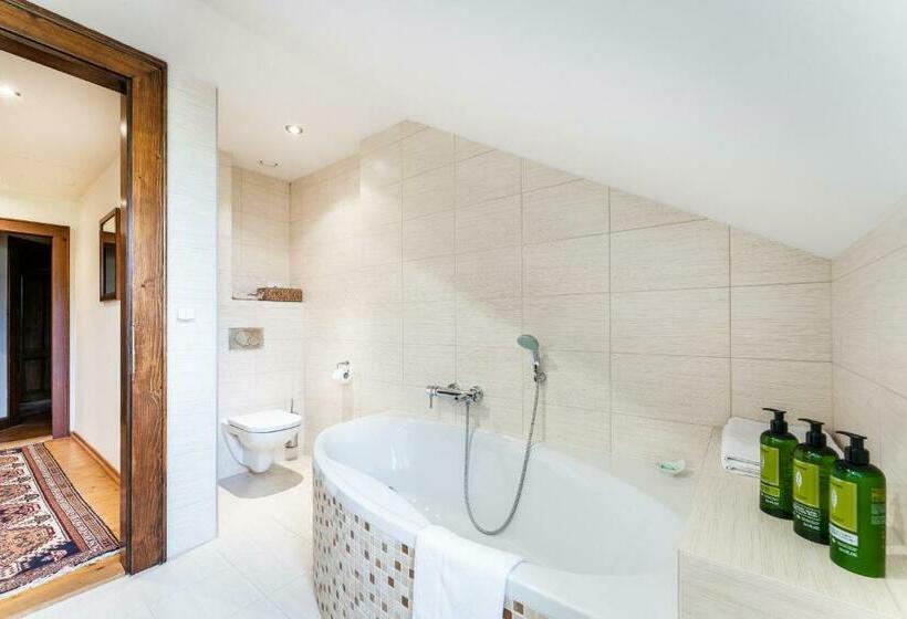 スタンダードルーム, Zámek Dobřenice