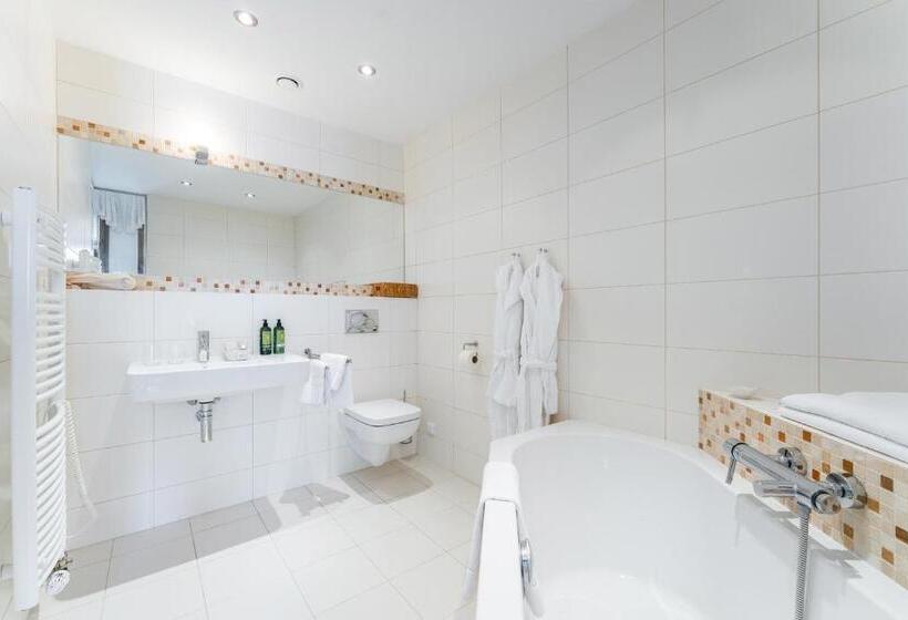 キングサイズベッドのデラックスルーム, Zámek Dobřenice