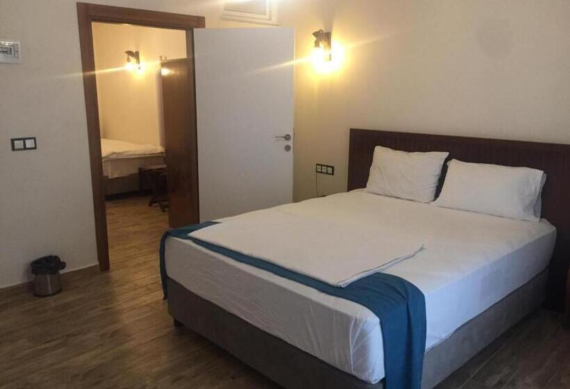 اتاق لوکس با چشم‌انداز شهر, Mi̇dyat Ladi̇nos Otel