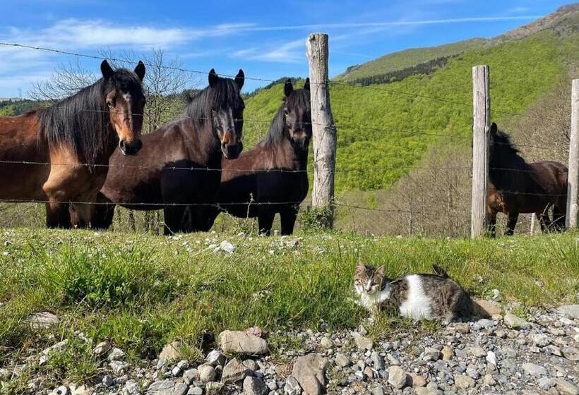 标准间, Colle Del Faggio Nature Room