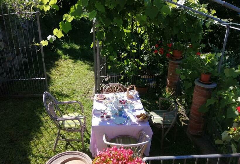 ガーデンビュースタンダードルーム, Le Viole Bianche