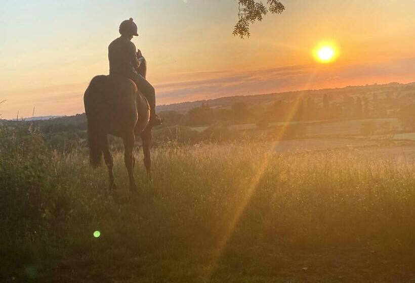 غرفة ديلوكس عائلية, Stunning  Room With A View