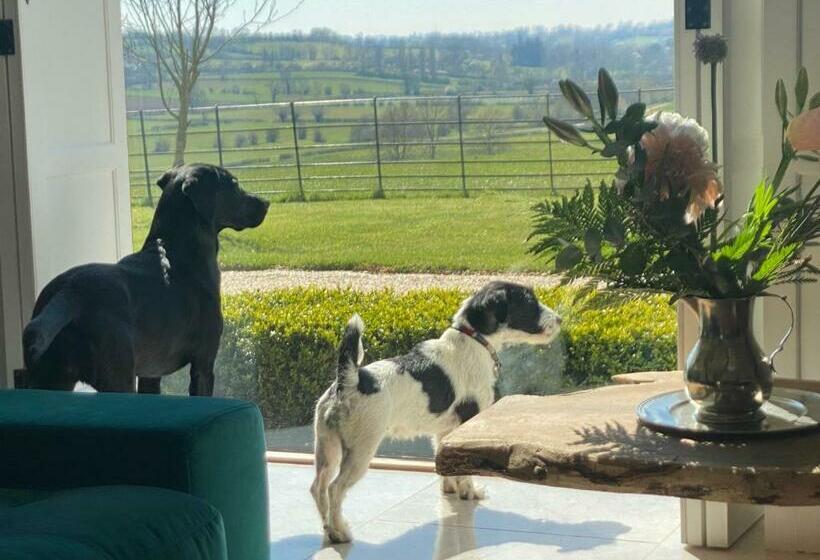 غرفة ديلوكس عائلية, Stunning  Room With A View