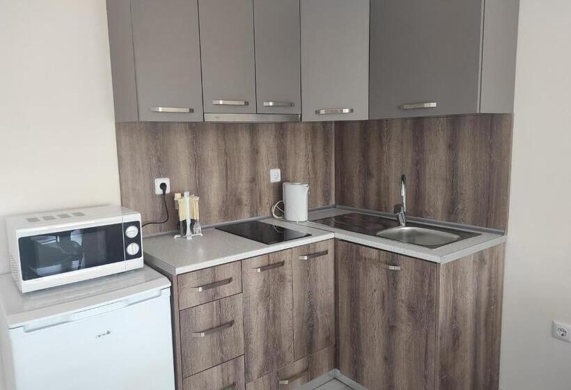Апартаменты 1 Спальня с Балконом, Sunny House Apartments