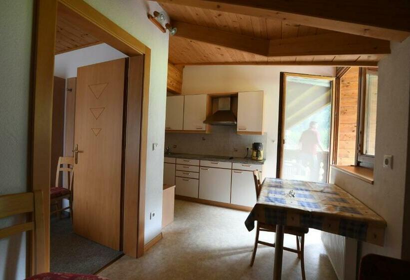 带1个卧室带观景的公寓, Boarhof