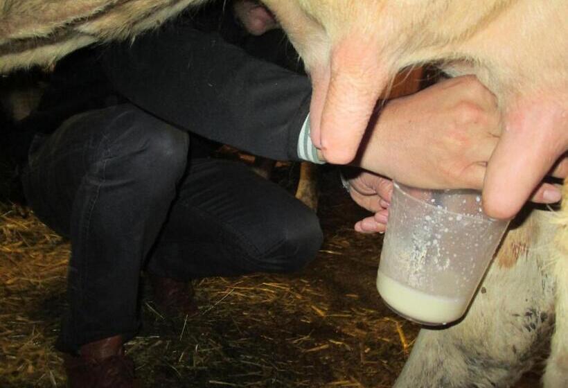 דירת שני חדרים, Gerlhof