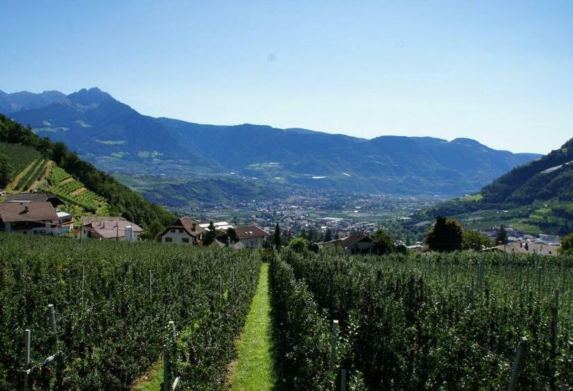 חדר סטנדרט נוף להרים, Oberangerhof