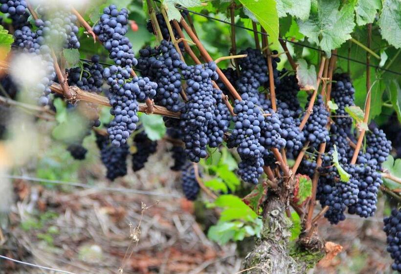 חדר סטנדרט יחיד, Garni Eckschänke