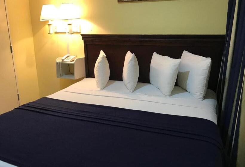 스탠다드 룸 킹사이즈 침대, Airport Suites