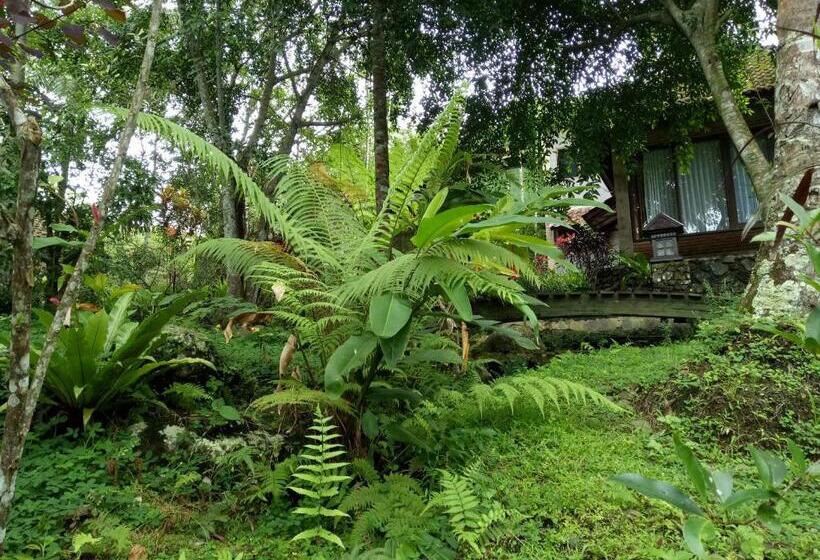 Люкс Вид на Реку, Mi Casa The Gem Of Ijen