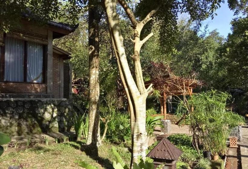 Люкс Вид на Реку, Mi Casa The Gem Of Ijen