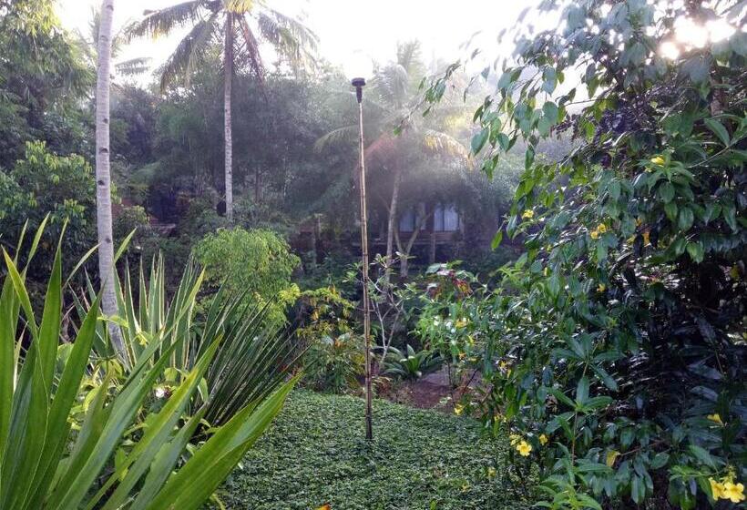 Люкс Вид на Реку, Mi Casa The Gem Of Ijen