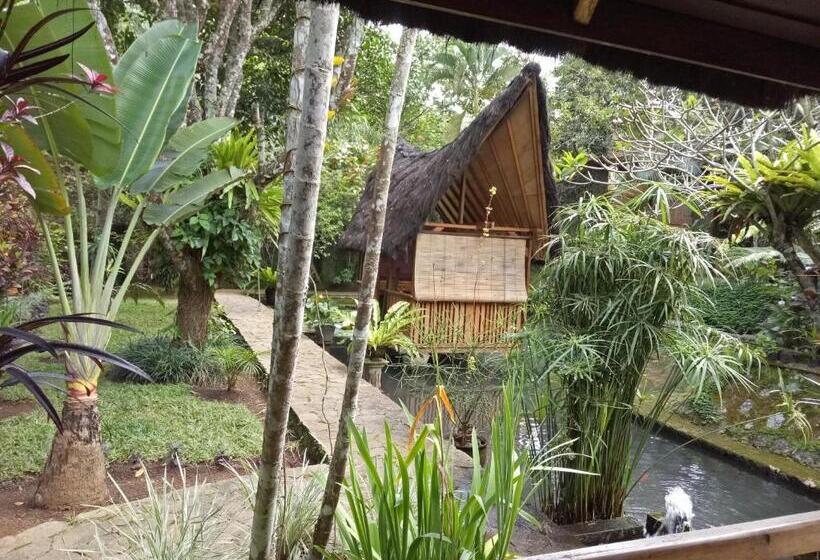 Люкс Вид на Реку, Mi Casa The Gem Of Ijen