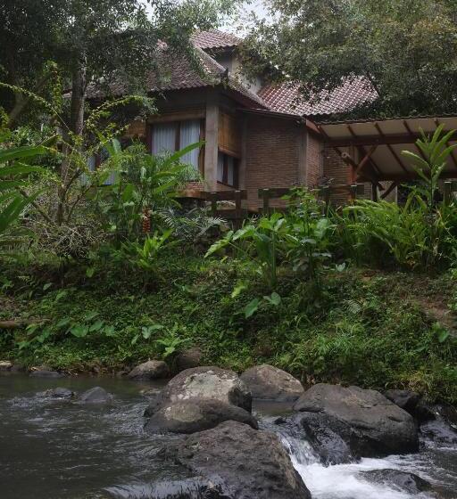 Люкс Вид на Реку, Mi Casa The Gem Of Ijen