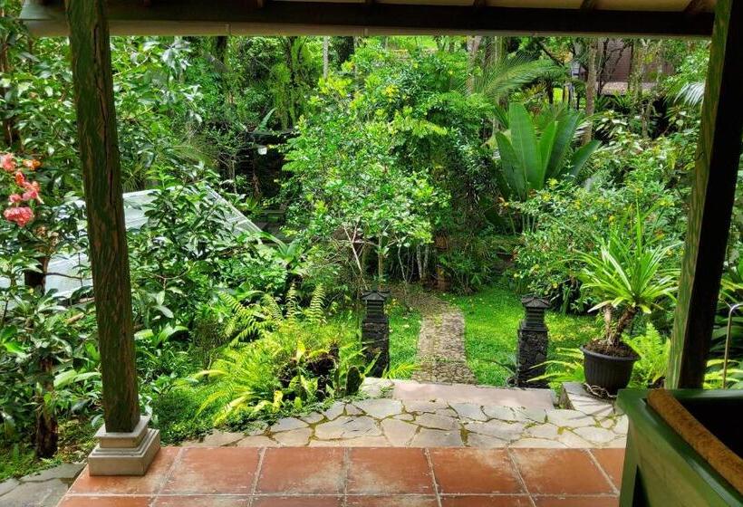 Люкс 2 Спальни, Mi Casa The Gem Of Ijen