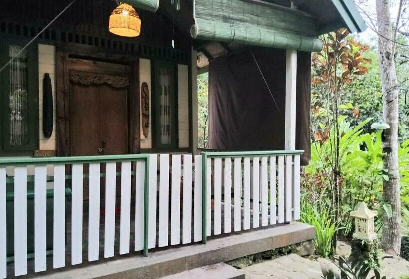 Бунгало Стандарт, Mi Casa   The Gem Of Ijen