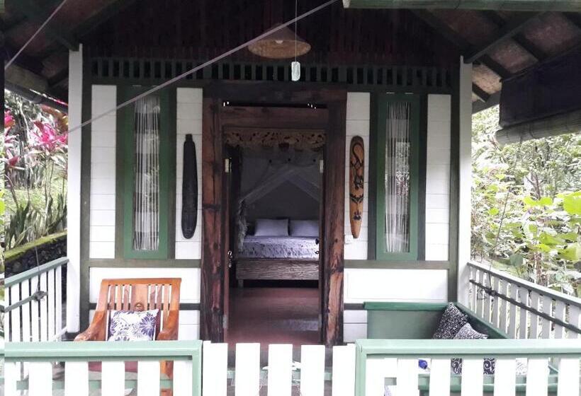 Бунгало Стандарт, Mi Casa The Gem Of Ijen