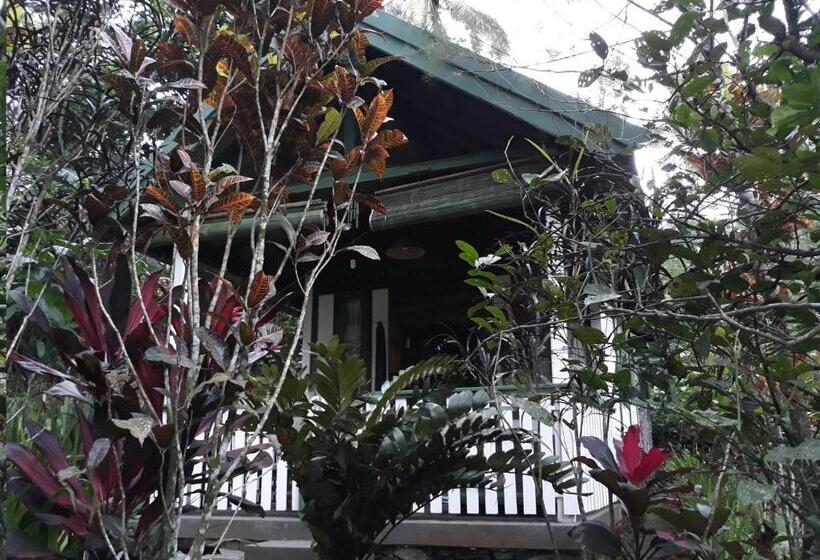 Бунгало Стандарт, Mi Casa The Gem Of Ijen