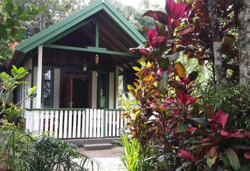 Бунгало Стандарт, Mi Casa The Gem Of Ijen