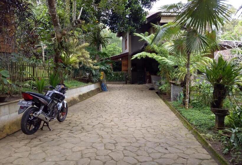 Бунгало Стандарт, Mi Casa The Gem Of Ijen