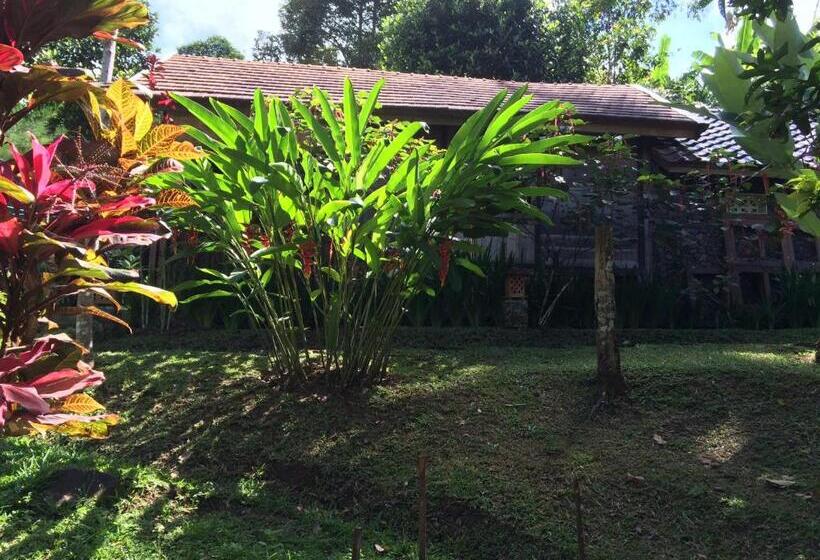 Бунгало Стандарт, Mi Casa The Gem Of Ijen