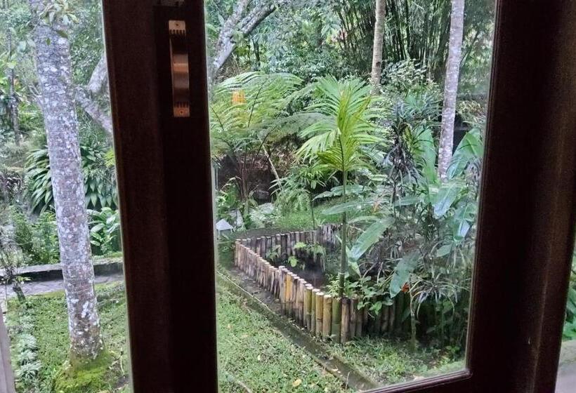 Люкс Вид на Реку, Mi Casa The Gem Of Ijen