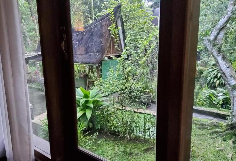 Люкс Вид на Реку, Mi Casa The Gem Of Ijen