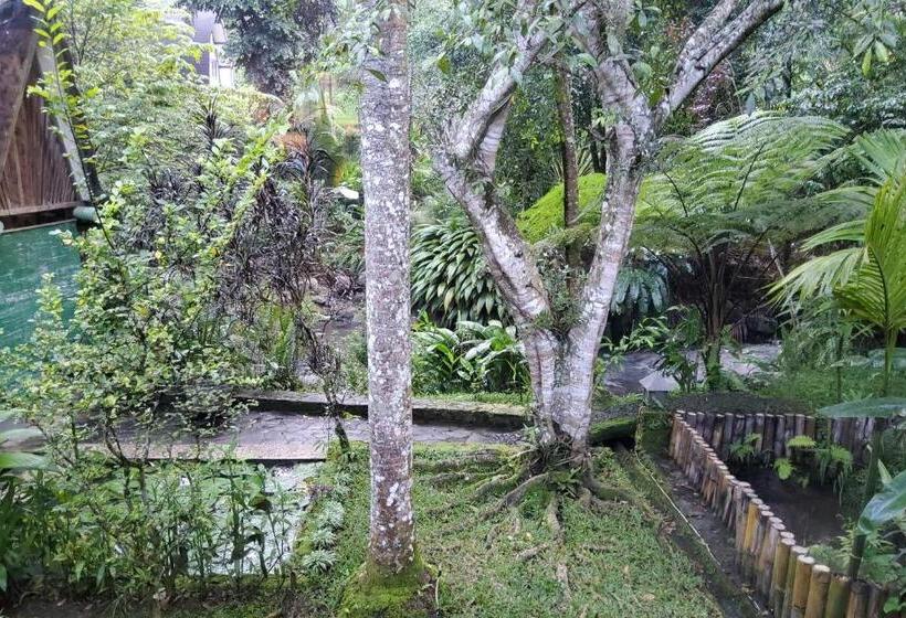 Люкс Вид на Реку, Mi Casa The Gem Of Ijen