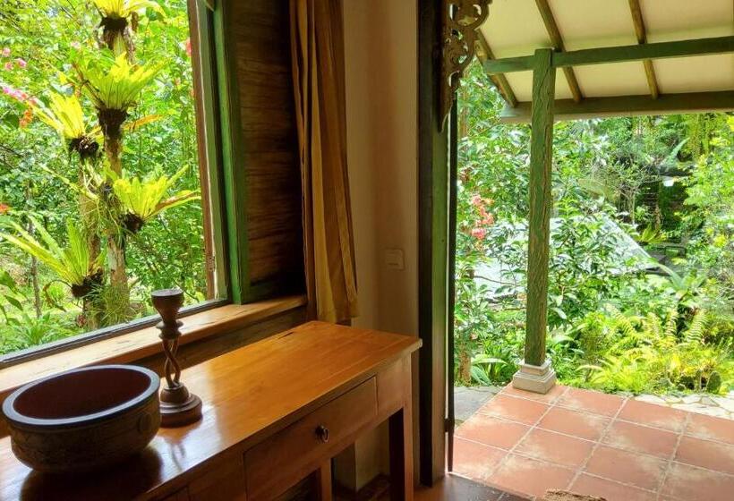 Люкс 2 Спальни, Mi Casa The Gem Of Ijen