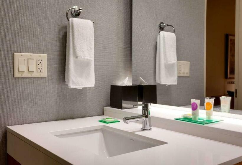 Стандартный Номер Кровать Кинг, Hyatt Place Park City