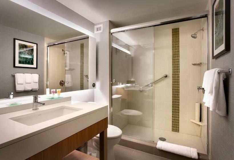 Стандартный Номер Кровать Кинг, Hyatt Place Park City