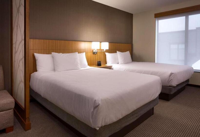 Номер Стандарт Адаптированный для Инвалидов, Hyatt Place Park City