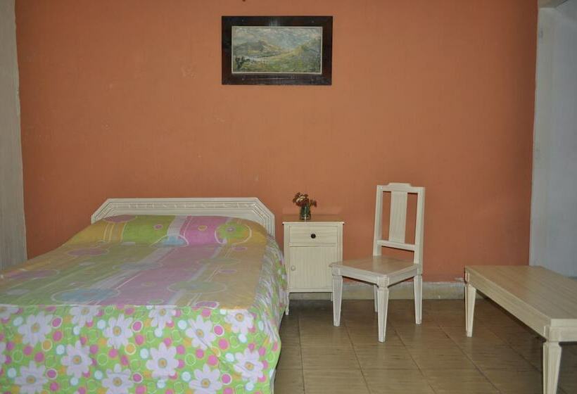 スタンダードルーム, Metropolitan Ii