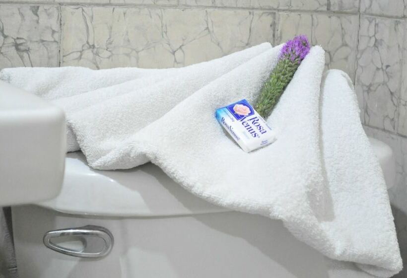 スタンダードルーム, Metropolitan Ii