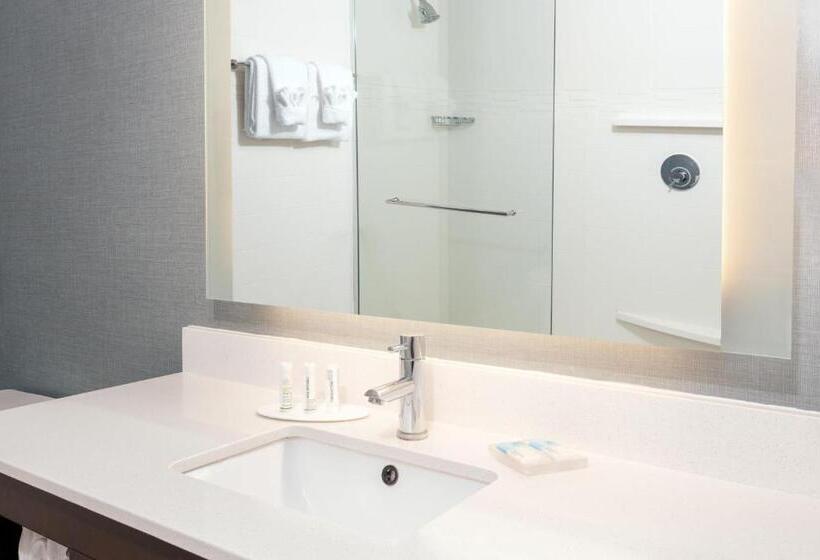 带大床的套房, Residence Inn By Marriott Charlottesville Downtown