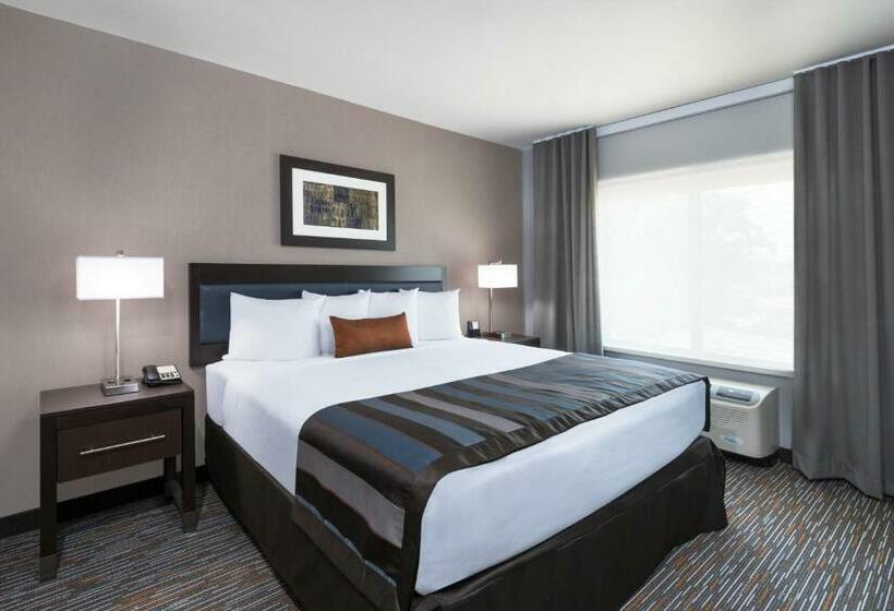 غرفة قياسية سرير كينج لذوى الإحتياجات الخاصة, Wingate By Wyndham Sidney