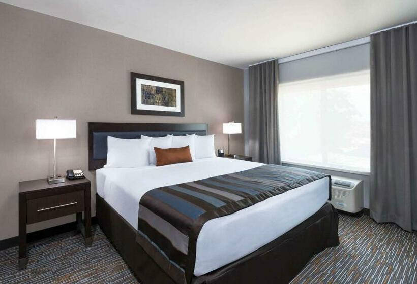 غرفة قياسية سرير كينج لذوى الإحتياجات الخاصة, Wingate By Wyndham Sidney