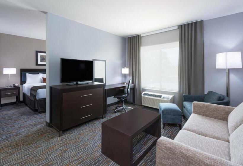 جناح سرير كينج, Wingate By Wyndham Sidney