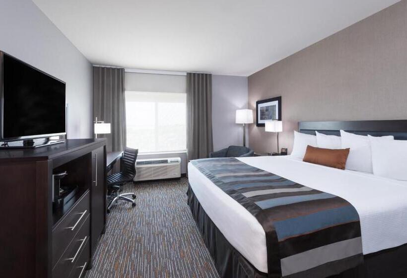 스위트 킹사이즈 침대, Wingate By Wyndham Sidney