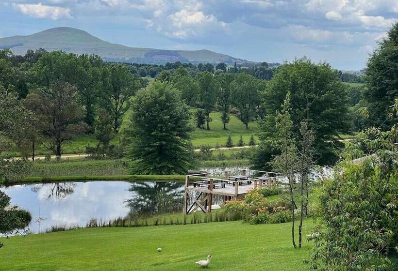 غرفة ديلوكس, Malachite Manor