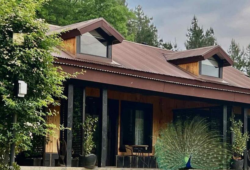 غرفة ديلوكس, Malachite Manor